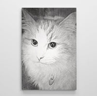 Custom Bespoke Canvas Wall Art Child Pet Cat Dog Horse